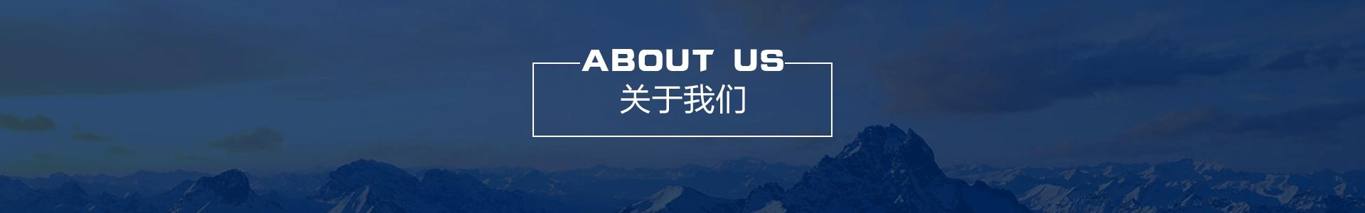 关于公司